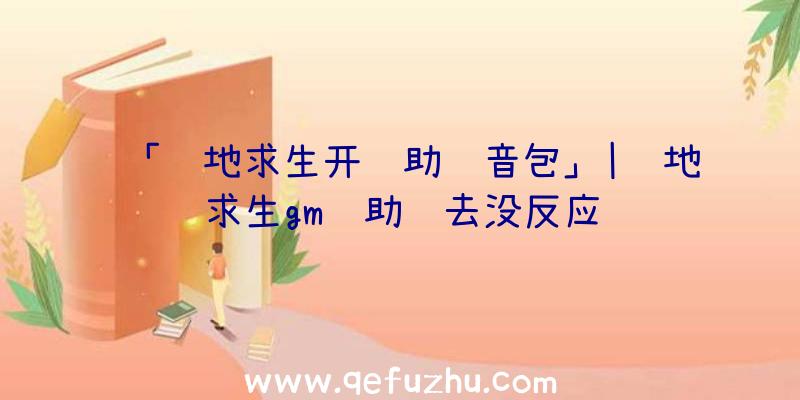 「绝地求生开辅助语音包」|绝地求生gm辅助进去没反应